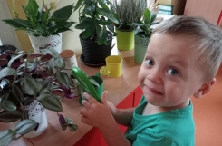 IMG20240916091554 